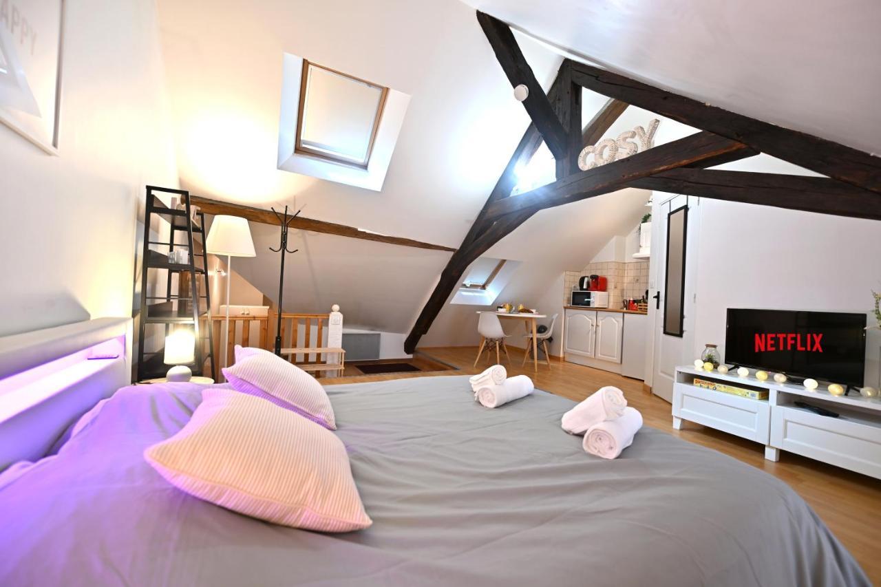 Апартаменты Le Cosy Du Tambour D'Argent Санс Экстерьер фото