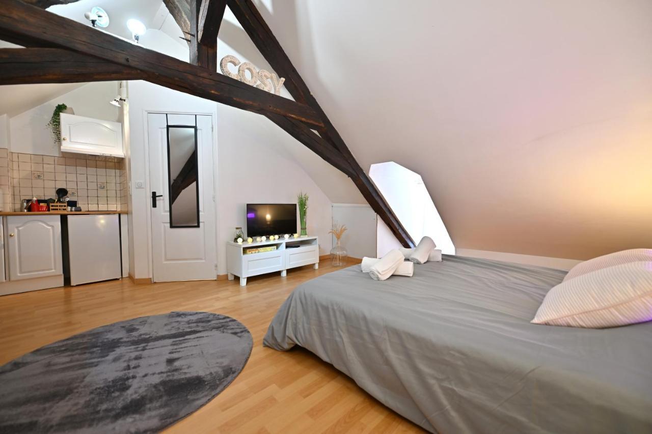 Апартаменты Le Cosy Du Tambour D'Argent Санс Экстерьер фото
